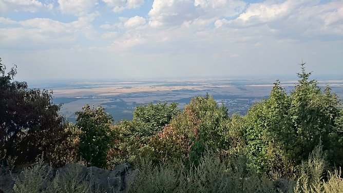 DSC_0345.JPG