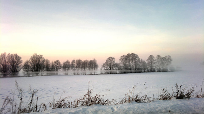20130125_155606.jpg