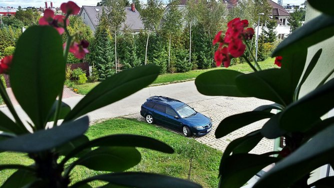 rps20150908_122608.jpg