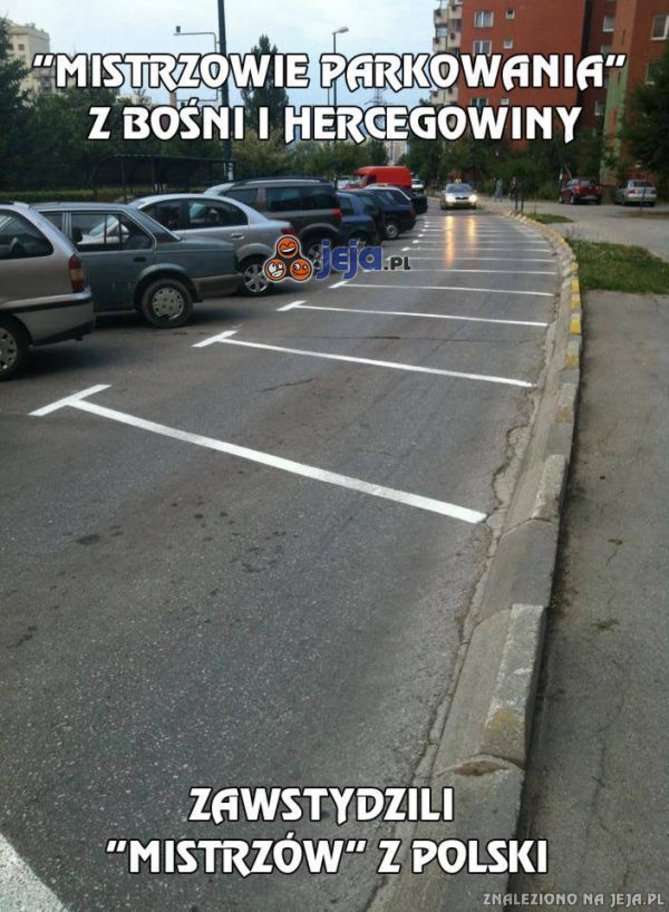 54409_mistrzowie-parkowania-z-bosni-i.jpg