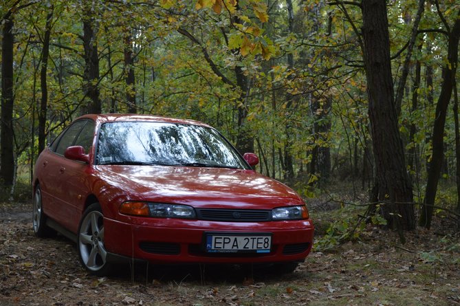 DSC_0272.jpg