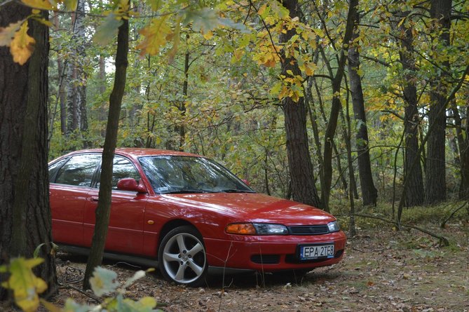 DSC_0273.jpg