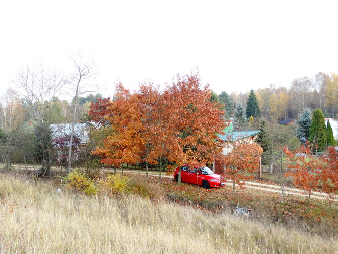 DSC03488.JPG