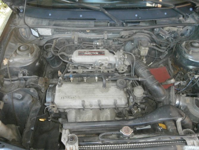 P9190003.JPG