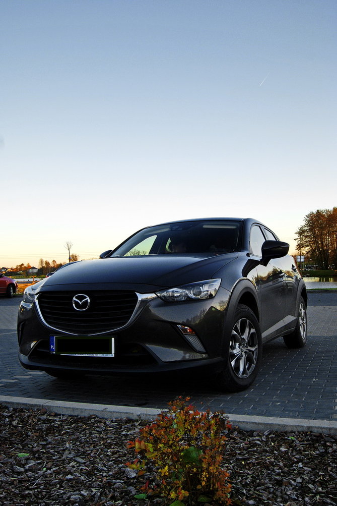 cx-3.JPG