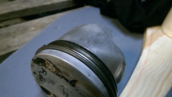 IMAG2255.jpg