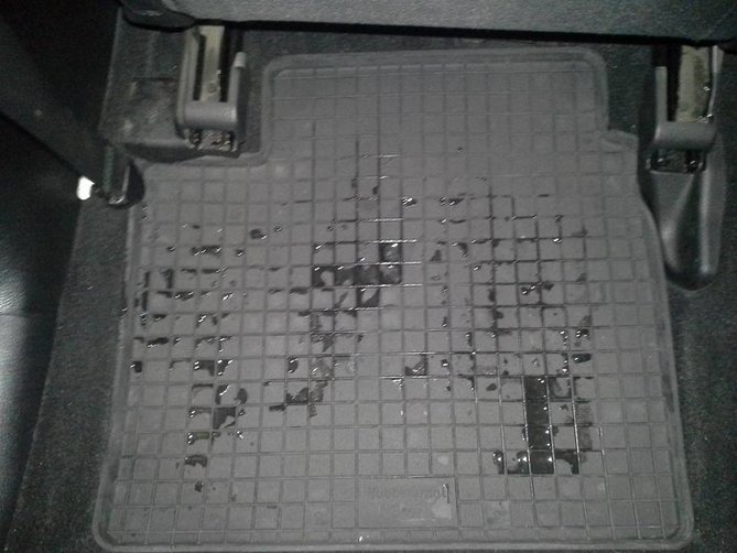 10410735_1011142272283557_1520958989000289689_n.jpg