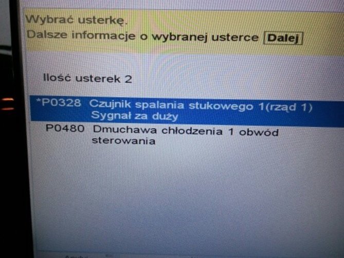 foto.jpg