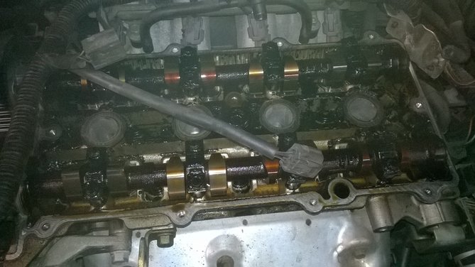 WP_20160120_004.jpg