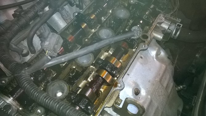 WP_20160120_006.jpg