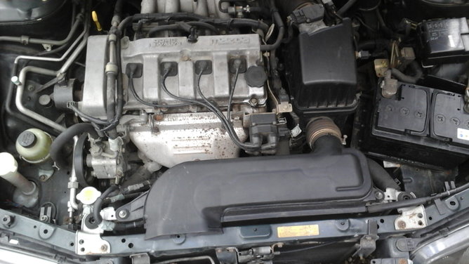 20150403_135215.jpg