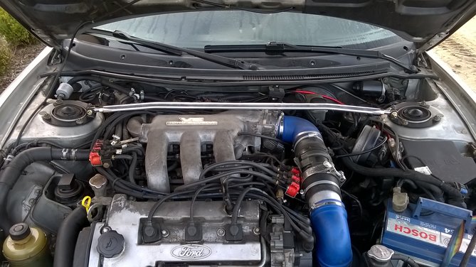 WP_20160207_003.jpg