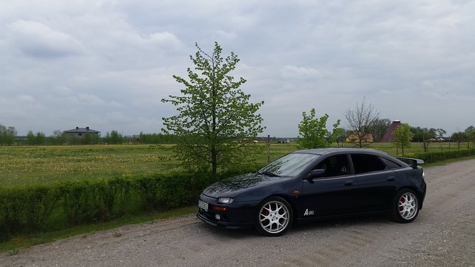 mustangcustoms.jpg.jpg