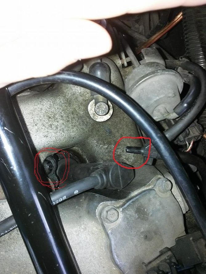 mazda urwane.jpg