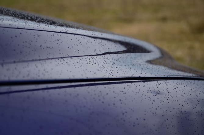 DSC_3229.JPG
